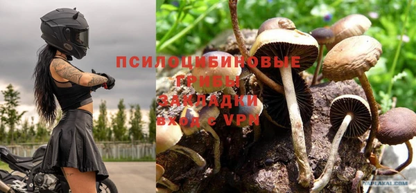 скорость Богородицк