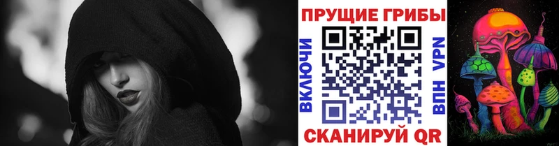 купить   Сланцы  Псилоцибиновые грибы GOLDEN TEACHER 