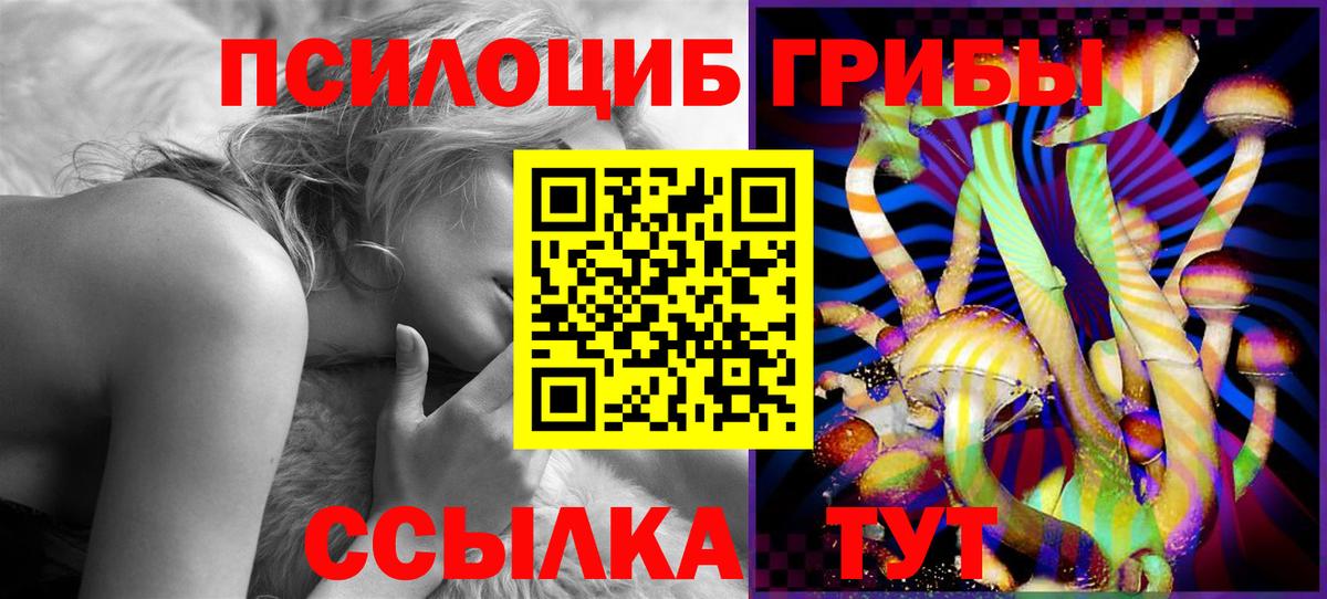 Сланцы  Галлюциногенные грибы GOLDEN TEACHER  Вход с VPN  Галлюциногенные грибы GOLDEN TEACHER 